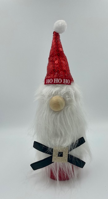 Santa Gnome